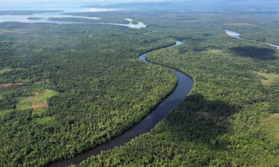 Keindahan Hutan Mangrove di Buton Utara Sulawesi Tenggara 