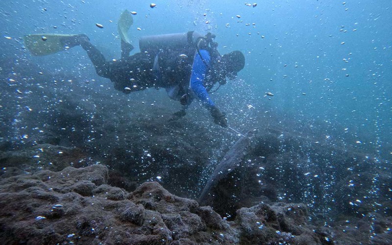 Seorang penyelam mengamati gunung api bawah laut (Hydrothermal) di kawasan laut Desa Sirui, Kota Sabang, Aceh, Minggu (19/3/2023). Gunung api bawah laut yang berada di kedalaman sekitar 10 meter tersebut hingga kini masih aktif dan menjadi salah satu lokasi paling diminati oleh penyelam domestik maupun mancanegara. ANTARA FOTO/Khalis Surry