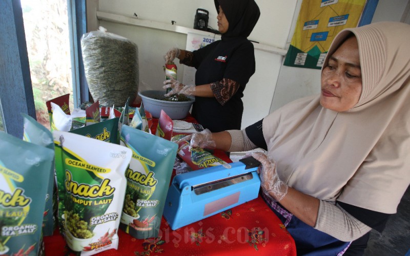 Pekerja tengah memproduksi makanan ringan olahan rumput laut di rumah produksinya di Desa Bagolo, Kecamatan Kalipucang, Kabupaten Pangandaran, Jawa Barat, Selasa (4/4/2023). Salah satu UMKM debitur kredit BJB Mesra ini mampu menyulap rumput laut menjadi snack beraneka rasa, mulai dari original, sapi panggang, hingga pedas. Ulva-Q mampu menjual produknya hingga menembus pasar Singapura dan meraup omzet sebesar Rp15 juta per bulan. Bisnis/Rachman