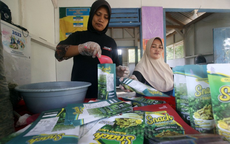 Pekerja tengah memproduksi makanan ringan olahan rumput laut di rumah produksinya di Desa Bagolo, Kecamatan Kalipucang, Kabupaten Pangandaran, Jawa Barat, Selasa (4/4/2023). Salah satu UMKM debitur kredit BJB Mesra ini mampu menyulap rumput laut menjadi snack beraneka rasa, mulai dari original, sapi panggang, hingga pedas. Ulva-Q mampu menjual produknya hingga menembus pasar Singapura dan meraup omzet sebesar Rp15 juta per bulan. Bisnis/Rachman