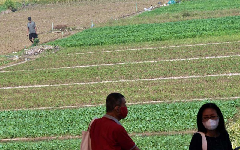 Sejumlah warga mengamati lahan pertanian di Bekasi, Jawa Barat, Jumat (7/4/2023). Menteri Koordinator Bidang Perekonomian Airlangga Hartarto mendorong modernisasi di sektor pertanian untuk meningkatkan produksi pertanian terutama beras dari 5 juta ton per hektare menjadi 31 juta ton per hektare dan setiap daerah mensubsidi transportasi hasil pertanian hingga ke konsumen. ANTARA FOTO/ Fakhri Hermansyah