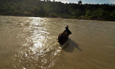 Taman Wisata Alam Seblat di Kabupaten Bengkulu Utara Bina 10 Gajah Jinak