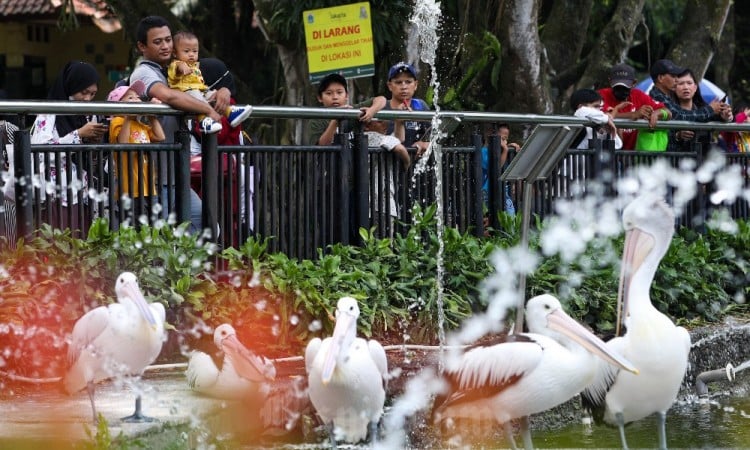 Ragunan Dipadati Pengunjung Saat Liburan Lebaran