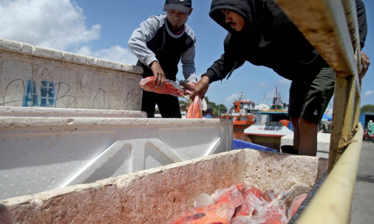 Perindo Targetkan Penyerapan Ikan Hasil Tangkapan Nelayan Sebnayak 14.252 Ton Pada Tahun Ini