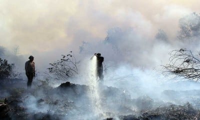 Ratusan Hektar Lahan Gambut di Riau Terbakar Sejak Dua Pekan Terakhir