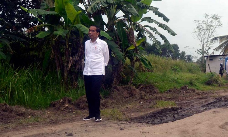 Presiden Joko Widodo Tinjau Jalan Rusak di Provinsi Lampung
