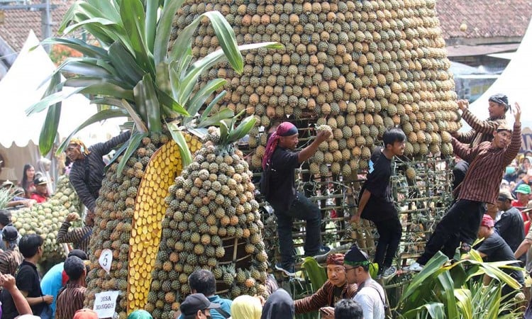 Kemeriahan Festival Nanas di Kawasan Lereng Gunung Kelud Kediri