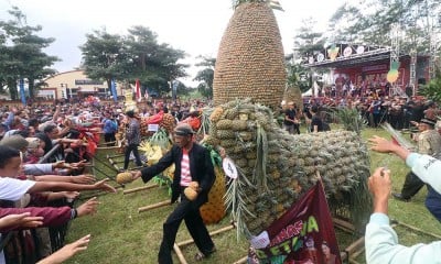 Kemeriahan Festival Nanas di Kawasan Lereng Gunung Kelud Kediri