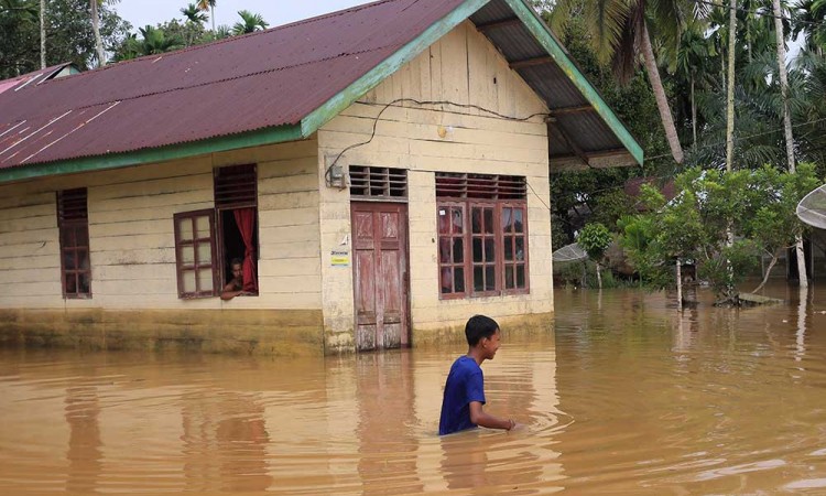 Puluhan Desa di Aceh Barat Terendam Banjir Luapan Sungai Krueng Meureubo