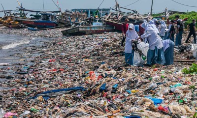 Aksi Bersih-Bersih Limbah Sampah di Pantai Labuan Banten