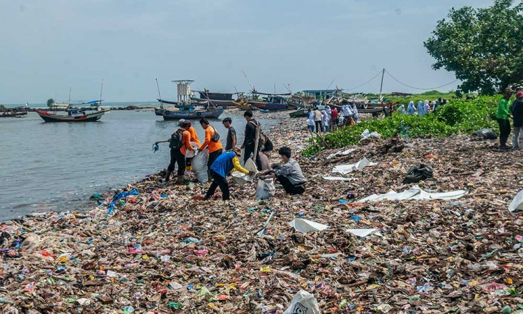 Aksi Bersih-Bersih Limbah Sampah di Pantai Labuan Banten