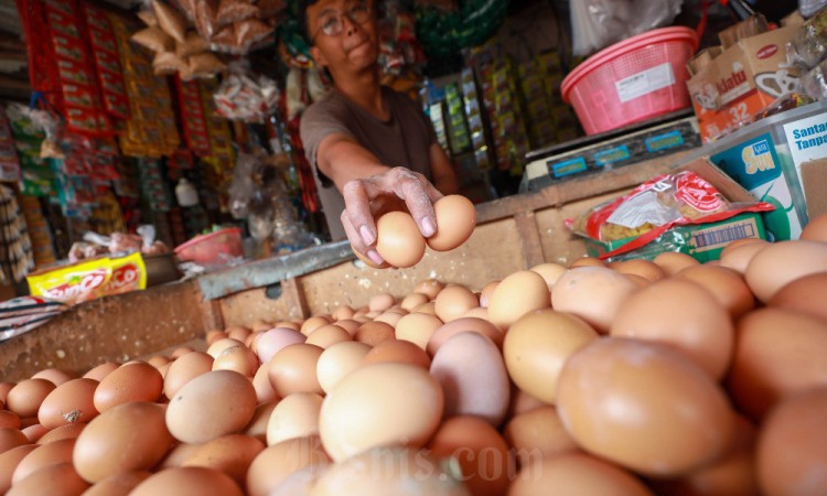 Harga Telur Ayam Melanjutkan Tren Kenaikan di Tingkat Pedagang Eceran