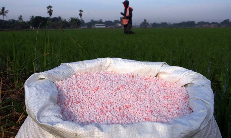 Penyaluran Bantuan Pupuk dan Benih Untuk Petani Telah Mencapai Rp274,4 Miliar