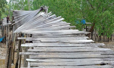 Jembatan Kayu di Jambi Rusak Parah, Mobilitas Warga Terganggu