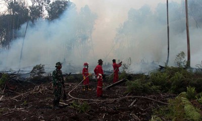 Ratusan Hektare Hutan Gambut di Sumatra Barat Terbakar