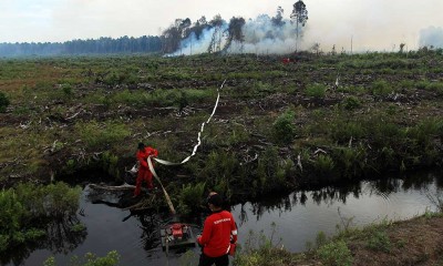 Ratusan Hektare Hutan Gambut di Sumatra Barat Terbakar