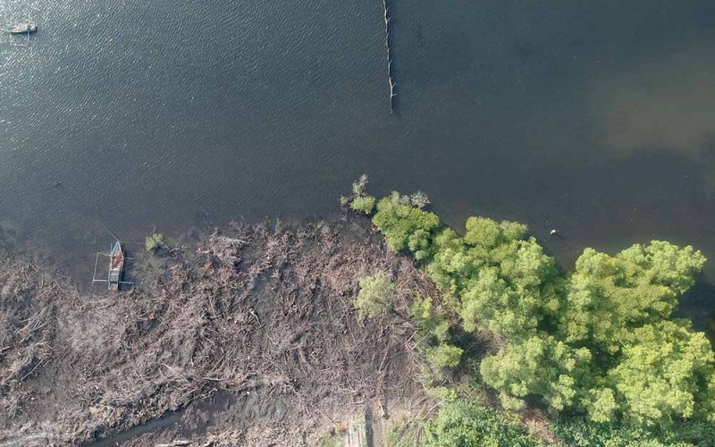 Foto udara kondisi mangrove yang rusak di Teluk Sepang, Kampung Melayu, Kota Bengkulu, Provinsi Bengkulu, Minggu (28/5/2023). Data Komunitas Mangrove Bengkulu, dari total 155,24 hektar luas hutan mangrove di kota itu rusak akibat pencaplokan lahan seluas 6,5 hektare area dan abrasi pantai seluas 2,5 hektare area. ANTARA FOTO/Iggoy el Fitra