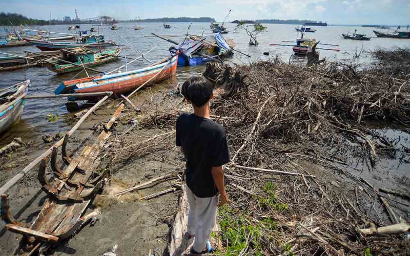 Warga melihat kondisi mangrove yang rusak di Teluk Sepang, Kampung Melayu, Kota Bengkulu, Provinsi Bengkulu, Minggu (28/5/2023). Data Komunitas Mangrove Bengkulu, dari total 155,24 hektare luas hutan mangrove di kota itu rusak akibat pencaplokan lahan seluas 6,5 hektare area dan abrasi pantai seluas 2,5 hektare area. ANTARA FOTO/Iggoy el Fitra