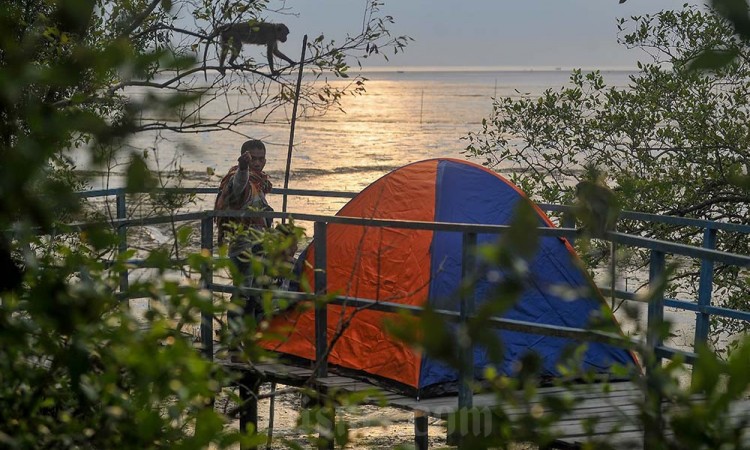 Perlindungan Kawasan Mangrove di Tanjung Jabung Barat