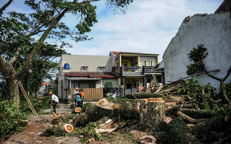 Warga bersama petugas BPBD menebang pohon yang rawan tumbang setelah terjadi bencana  angin puting beliung di Bojong Malaka, Baleendah, Kabupaten Bandung, Jawa Barat, Rabu (7/62023). Pemerintah Kabupaten Bandung mencatat sebanyak 141 rumah di tiga kelurahan di Kecamatan Baleendah mengalami kerusakan ringan hingga berat akibat bencana angin puting beliung yang terjadi pada Senin (5/6/2023) petang. ANTARA FOTO/Raisan Al Farisi