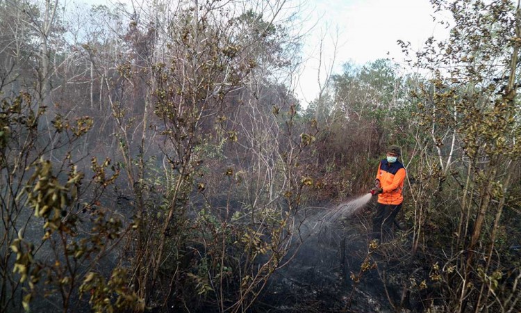 Puluhan Ribu Hektare Lahan Gambut di Palangka Raya Terbakar