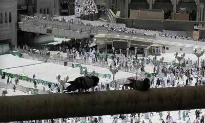 Begini Kepadatan Masjidil Haram Jelang Puncak Pelaksanaan Ibadah Haji