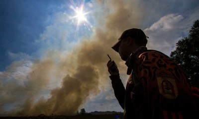 Luas Kebakaran Hutan dan Lahan di Kalimantan Selatan Mencapai 109,5 Hektare