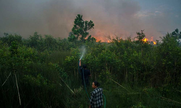 Kebakaran Lahan Gambut di Kalimantan Selatan Mulai Mendekati Permukiman Warga