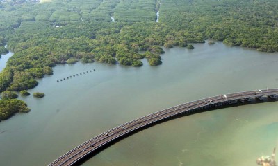 Luas Lahan Mangrove di Provinsi Bali Mencapai 2.143,97 Hektare