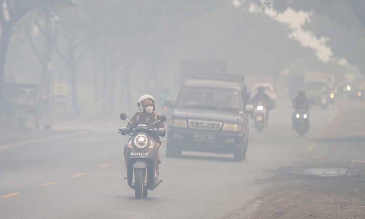 Kabut Asap Dari Kebakaran Hutan dan Lahan Mulai Meluas di Kalsel