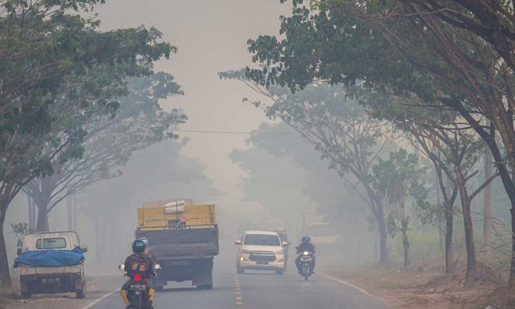 Kabut Asap Dari Kebakaran Hutan dan Lahan Mulai Meluas di Kalsel