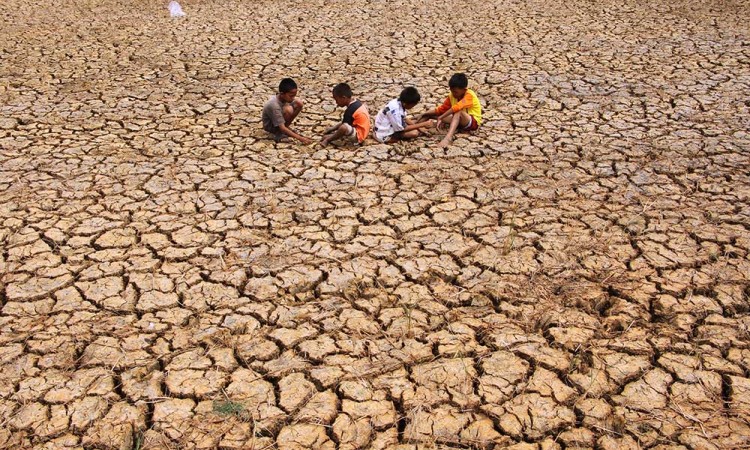 BMKG Perkirakan El Nino Akan Terjadi di Indonesia Pada Juni 2023