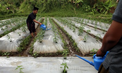 Ponpes di Tasikmalaya Targetkan Membuat Hilirasi Produk Pertanian 