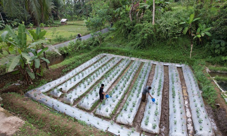 Ponpes di Tasikmalaya Targetkan Membuat Hilirasi Produk Pertanian 