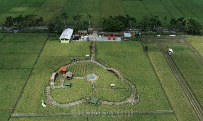 Keindahan Alam di Kawista Emji Mernek Jenek Cilacap Menjadi Daya Tarik Wisatawan