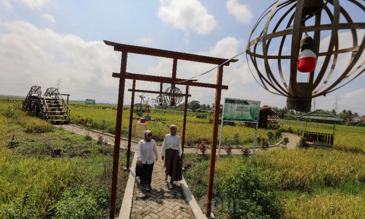 Keindahan Alam di Kawista Emji Mernek Jenek Cilacap Menjadi Daya Tarik Wisatawan