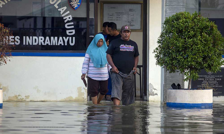 Banjir Rob Merendam Sejumlah Kawasan di Indramayu