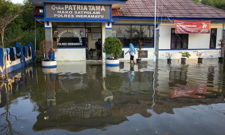 Banjir Rob Merendam Sejumlah Kawasan di Indramayu