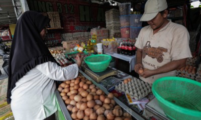 Harga Telur Ayam Ras Mulai Merangkak Naik