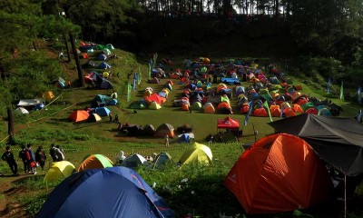 Keseruan Summer Camp di Kawasan Wisata Hutan Pinus Malino Sulawesi Selatan