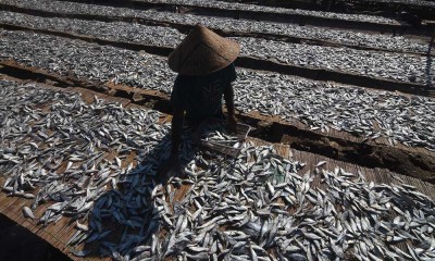 Produksi Ikan Asin di Jakarta Menurun Akibat Tingginya Harga Garam