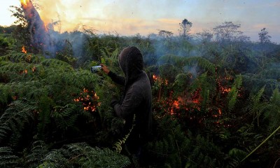 Kebakaran Lahan Gambut di Aceh Belum Bisa Dipadamkan