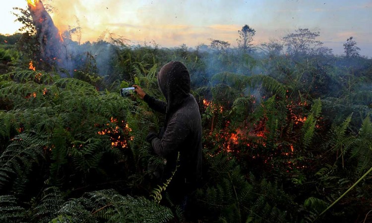 Kebakaran Lahan Gambut di Aceh Belum Bisa Dipadamkan