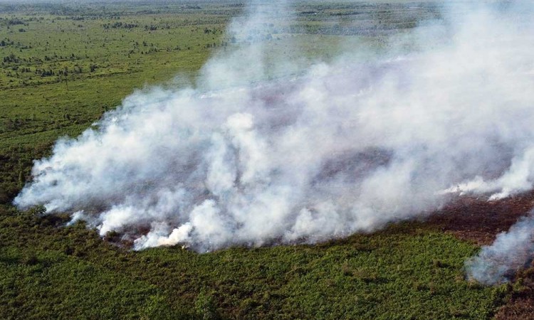 Kebakaran Lahan Gambut di Aceh Belum Bisa Dipadamkan