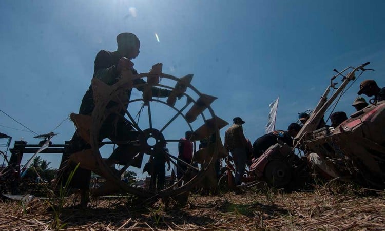 Keseruan Balap Traktor di Jawa Tengah