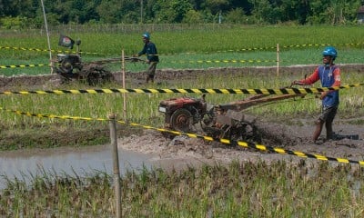 Keseruan Balap Traktor di Jawa Tengah