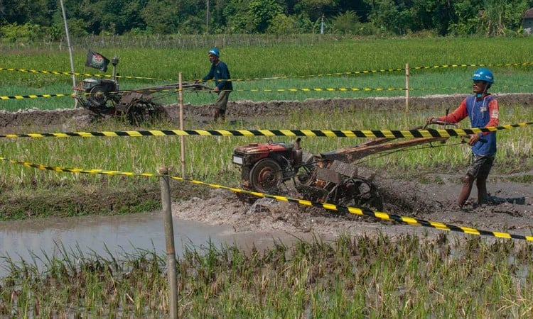 Keseruan Balap Traktor di Jawa Tengah