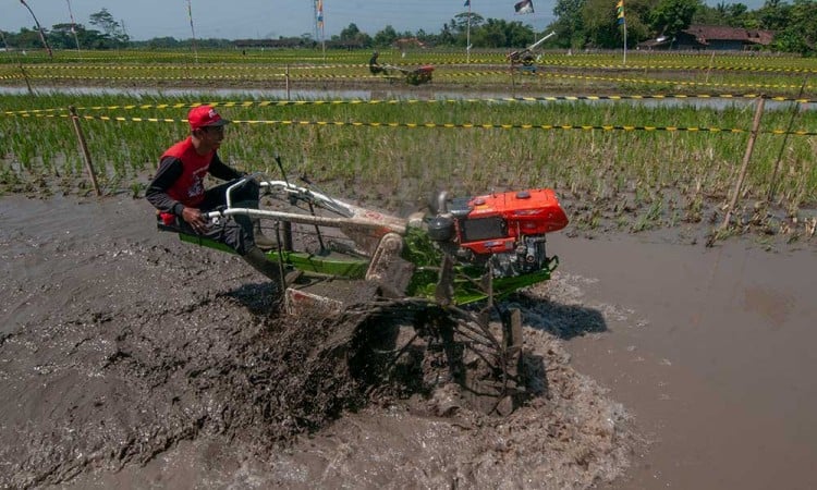 Keseruan Balap Traktor di Jawa Tengah