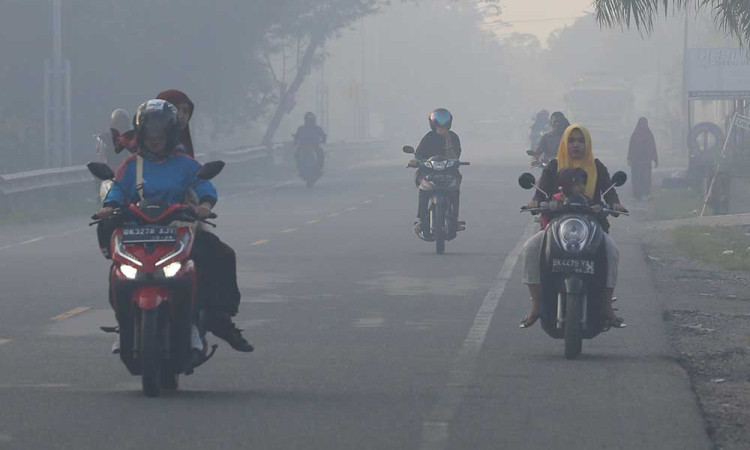 Kabut Asap Selimuti Aceh Akibat Kebakaran Lahan