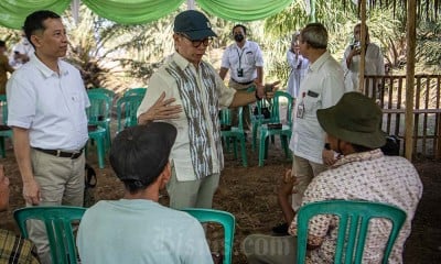 Dukungan Pembiayaan Petani Kelapa Sawit Oleh OJK